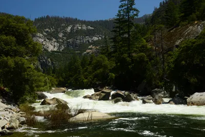 DSC_2256 (Large).JPG